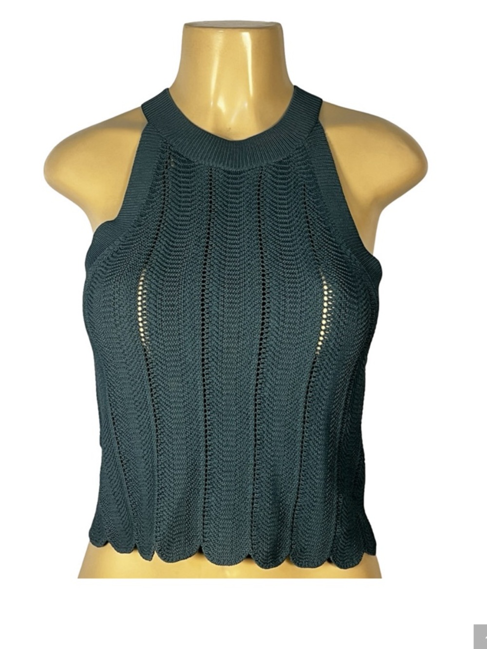 Wilfred Halter Scallop Tank